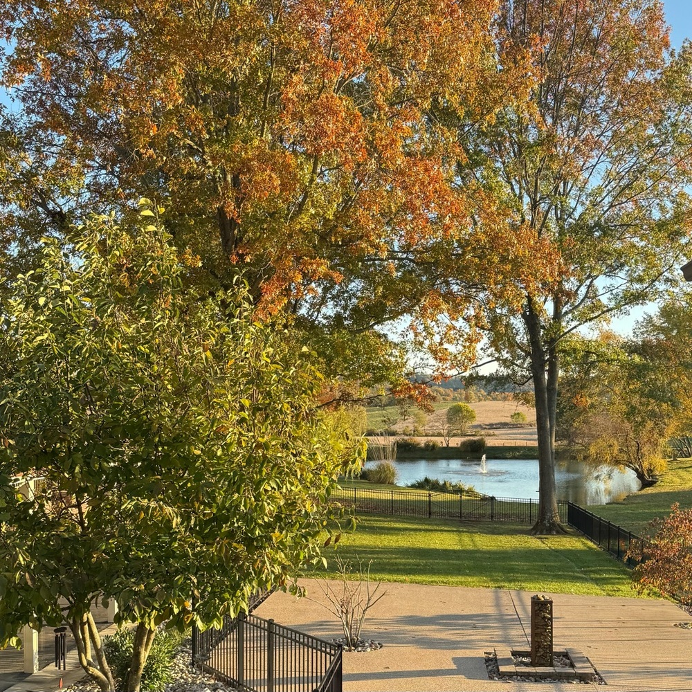 Meet your Posher, Deborah